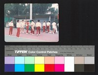 藏品(球隊)的圖片