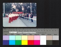 藏品(球隊)的圖片