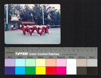 藏品(球隊)的圖片