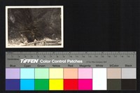 藏品(山壁)的圖片