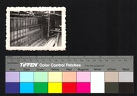 藏品(鋼筋)的圖片