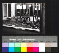 藏品(植栽景觀)的圖片