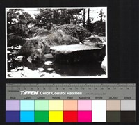 藏品(庭園景觀)的圖片