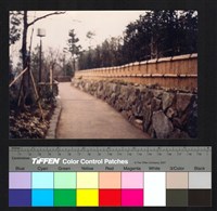 藏品(圍牆景觀)的圖片