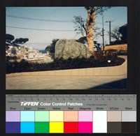 藏品(植栽景觀)的圖片