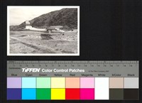 藏品(飛機)的圖片