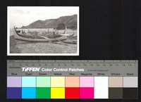 藏品(拼板舟)的圖片