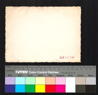 藏品(背面日期)的圖片