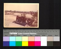 藏品(人物側拍)的圖片