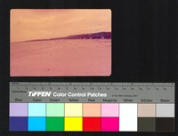 藏品(沙灘)的圖片