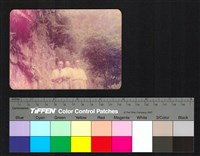 藏品(人物合照)的圖片