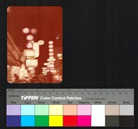 藏品(夜景)的圖片