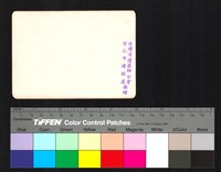 藏品(背面題字)的圖片