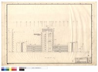 藏品(背立面圖)的圖片