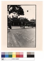 藏品(外觀)的圖片