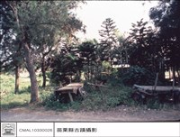 藏品(背觀)的圖片