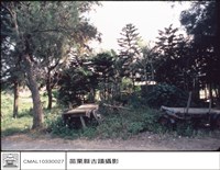 藏品(背觀)的圖片