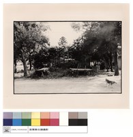 藏品(背觀)的圖片