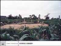 藏品(全景)的圖片