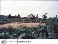 藏品(全景)的圖片