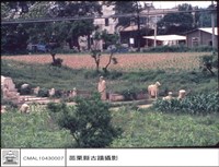 藏品(全景)的圖片