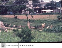 藏品(全景)的圖片