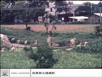 藏品(全景)的圖片
