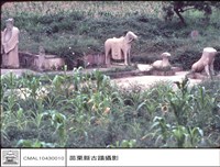 藏品(全景)的圖片