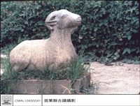 藏品(石羊)的圖片