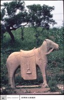 藏品(石馬)的圖片