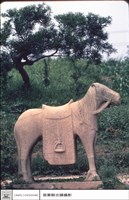 藏品(石馬)的圖片