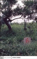 藏品(后土)的圖片