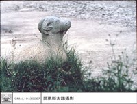 藏品(石羊)的圖片