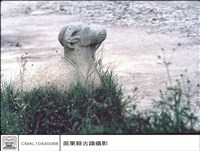 藏品(石羊)的圖片