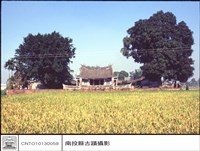 藏品(N/A)的圖片