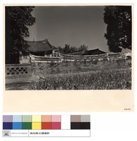 藏品(N/A)的圖片