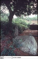 藏品(右側觀)的圖片