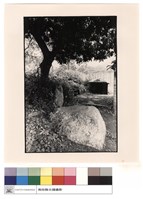 藏品(全景)的圖片