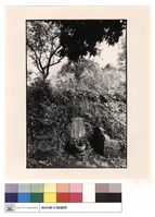 藏品(全景)的圖片