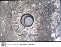 藏品(特寫)的圖片