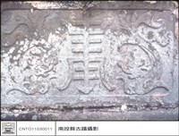 藏品(特寫)的圖片