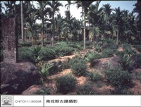 藏品(全景)的圖片