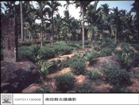 藏品(全景)的圖片