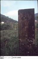 藏品(正面)的圖片