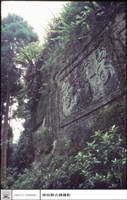 藏品(全景)的圖片