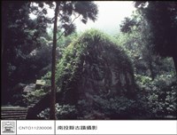 藏品(全景)的圖片