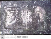 藏品(特寫)的圖片