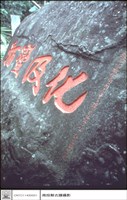 藏品(全面)的圖片