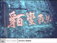 藏品(全面)的圖片