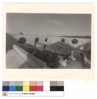 藏品(鳥瞰)的圖片